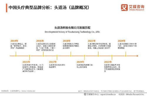 2024-2025年中國頭皮療養行業發展趨勢分析與投資前景展望